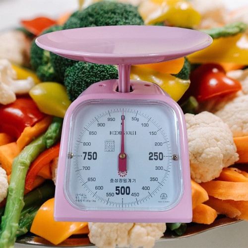 효성 아날로그 주방저울 1kg 가정용 저울 계량저울