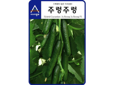 다수확 오이씨앗 주렁주렁 10립 오이종자