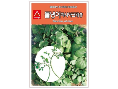 물냉이씨앗 아시아크레숑 1g 허브씨앗 종자