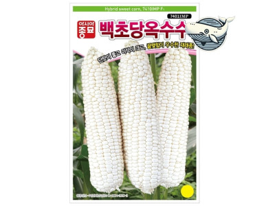 달콤한 백초당 옥수수 씨앗 대형 단맛 옥수수