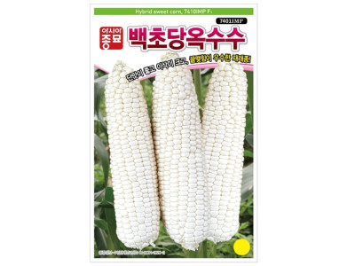 단맛 큰이삭 백초당 옥수수 씨앗 옥수수종자