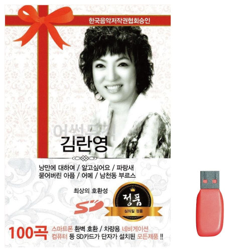 음악USB 김란영