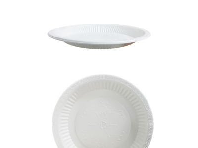 일회용품 위생접시 200mm 중 50개