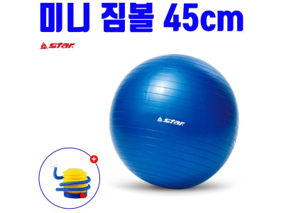 스타 45cm 필라테스 미니 짐볼 운동 볼 공 마사지