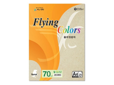 플라잉칼라 Pk02 얼스팩 A4 70g 복사용지 25매입 10개