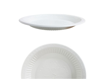일회용품 위생접시 230mm 대 50개
