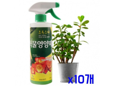 고급영양소 식물 스프레이 영양제 500ml x10개 비료