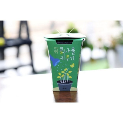 한컵쑥쑥 콩나물키우기