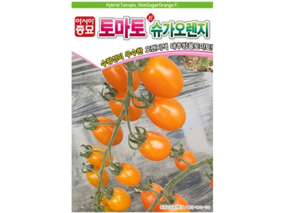 오렌지색상 대추방울토마토 씨앗 신슈가오렌지 종자
