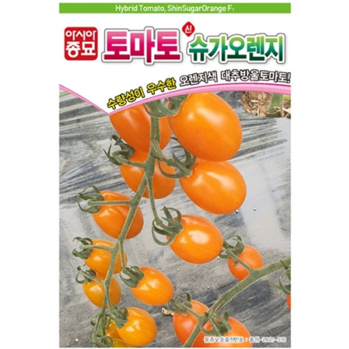 오렌지색상 대추방울토마토 씨앗 신슈가오렌지 종자
