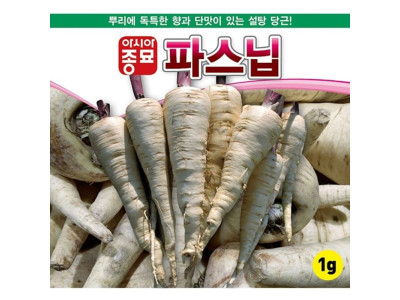 설탕당근 파스닙 씨앗 단맛나는 뿌리 종자