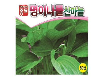 산마늘씨앗 명이나물 50립 산채