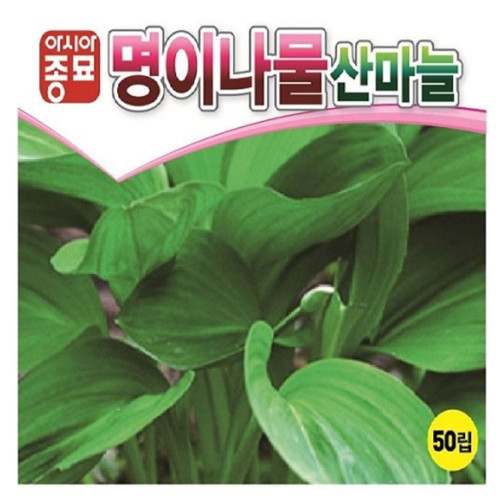 산마늘씨앗 명이나물 50립 산채