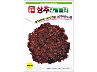 상추씨앗 진빨롤라 6000립 상추