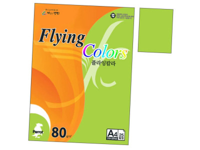 칼라색지 P44.연두색 A4 80g 25매 1권 용지 프린트