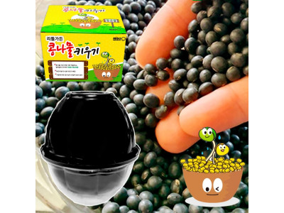콩나물키우기 키트 재배기 가정용콩나물 - 국내산