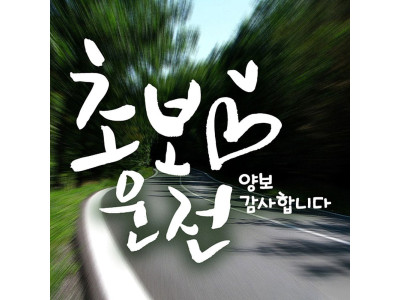캘리 하트초보운전 화이트 초보운전스티커-반사