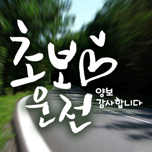 캘리 하트초보운전 화이트 초보운전스티커-반사