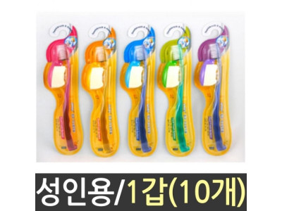 칫솔 치약 10개 양치 치과 욕실용품 치아