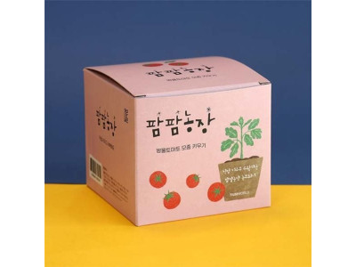 어린이집 식물키트 팜팜농장 방울토마토 모종키우기