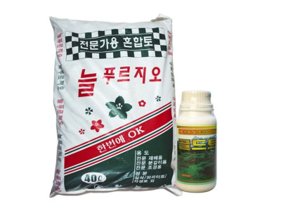전문가용 대용량 분갈이 식물 활력액 세트