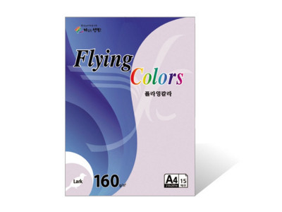 플라잉칼라 160g L22 검정색 A4 15매