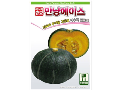 단호박종자 만냥에이스 20립 호박씨앗