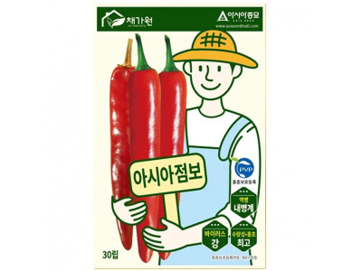 대형고추 씨앗 아시아점보 30립 종자