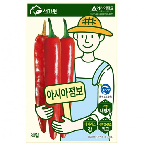 대형고추 씨앗 아시아점보 30립 종자