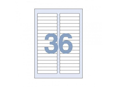 C-3030 화일인덱스라벨(100매)