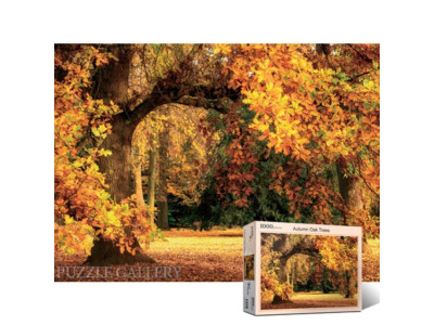 1000피스 화려한 가을단풍 직소퍼즐 PL1376
