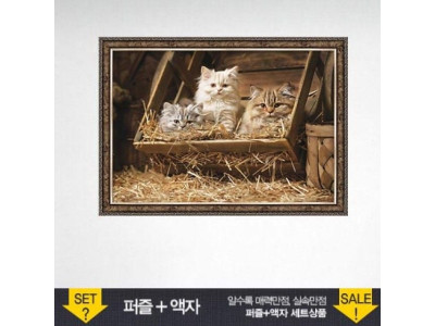500피스 직소퍼즐 낡은 배럴의 고양이들 (액자포함)