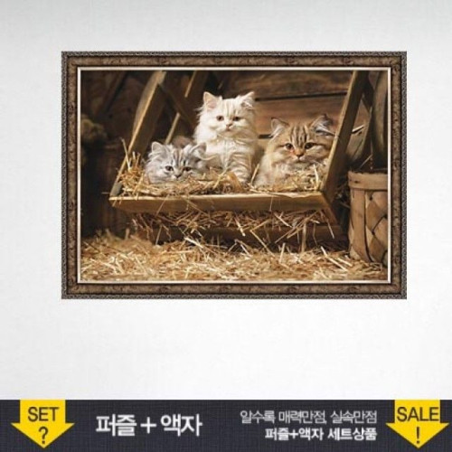 500피스 직소퍼즐 낡은 배럴의 고양이들 (액자포함)