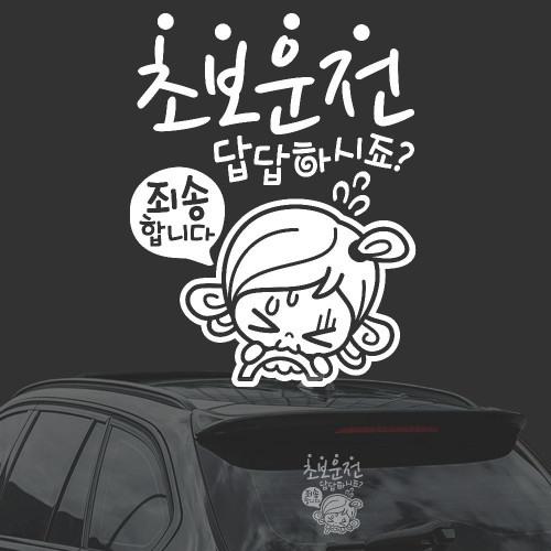 초보운전 죄송합니다 화이트시트지 자동차스티커