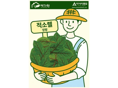 톡쏘는 향기 적소렐 씨앗 허브 종자