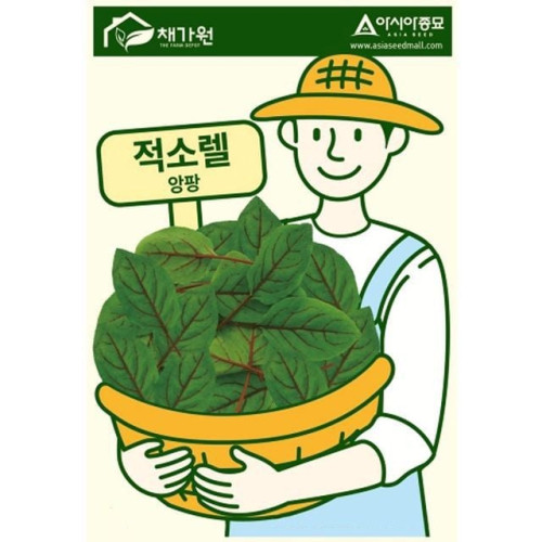 톡쏘는 향기 적소렐 씨앗 허브 종자