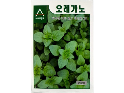 박하향 오레가노 씨앗 요리용 허브 종자