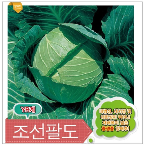 양배추씨앗 조선팔도 500립 중생종 양배추종자