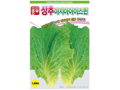 잎따내기 양상추씨앗 아이스퀸 1500립 상추