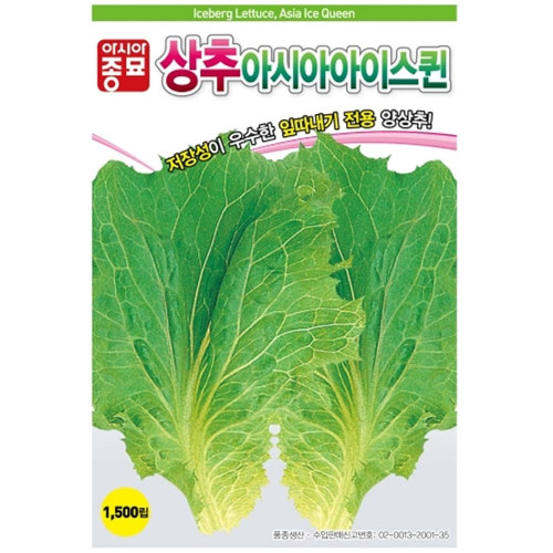 잎따내기 양상추씨앗 아이스퀸 1500립 상추