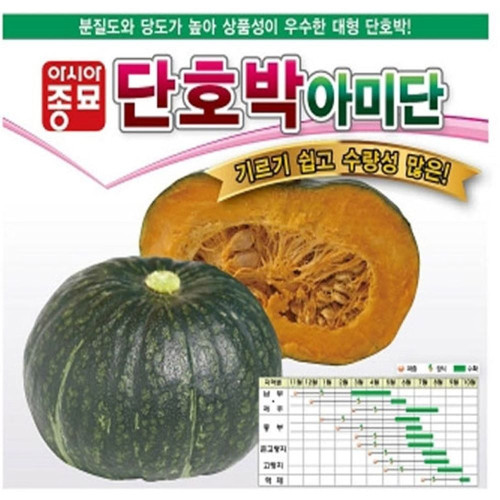 단호박씨앗 아미단 40립 호박종자
