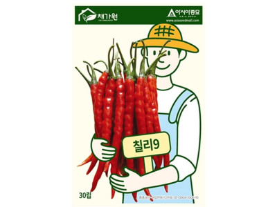 고추종자 칠리9 씨앗 30립