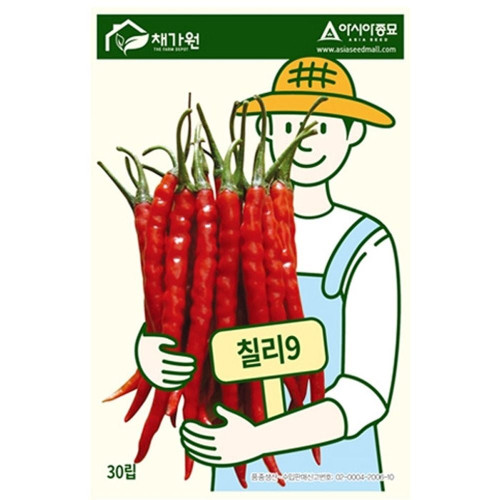 고추종자 칠리9 씨앗 30립
