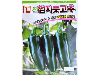 엄지고추 씨앗 신엄지풋 100립 종자