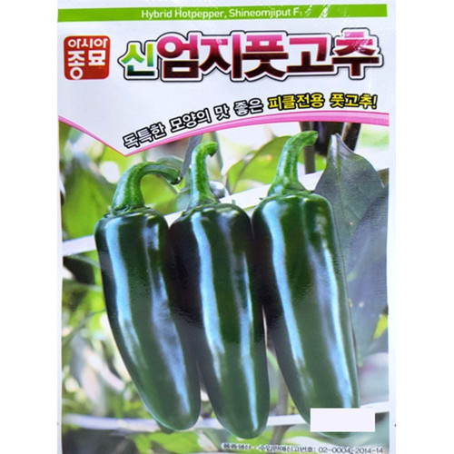 엄지고추 씨앗 신엄지풋 100립 종자
