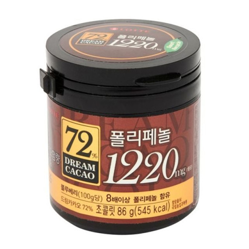 드림카카오 72% 통 롯데웰푸드