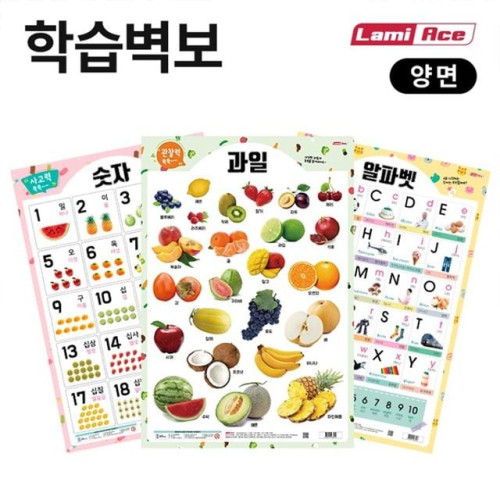 양면학습벽보 공룡 라미에이스