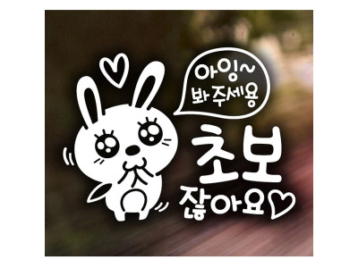 아잉 초보 애교토끼 초보운전스티커-화이트