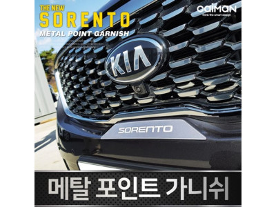 메탈 포인트 가니쉬 (더뉴쏘렌토)