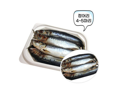 바다낚시용미끼싱싱한정어리